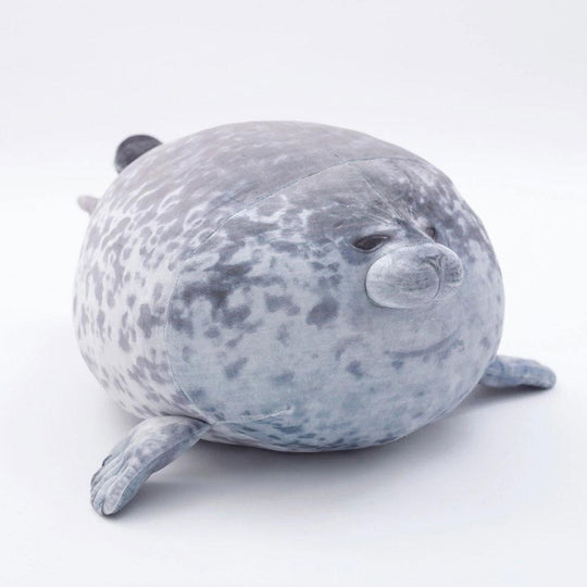 Gifts for Seal Lovers - Star Kingdom